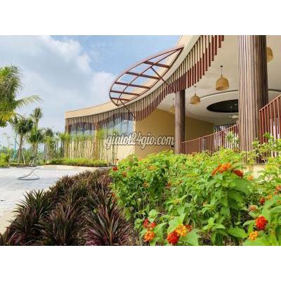 Đất Nền Thủ Thừa - Long An Đất Nền Thủ Thừa - Long An