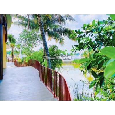 Đất Nền Thủ Thừa - Long An Đất Nền Thủ Thừa - Long An