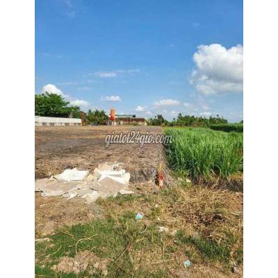 Đất Nông Nghiệp Hóc Môn - Hồ Chí Minh Đất Nông Nghiệp Hóc Môn - Hồ Chí Minh