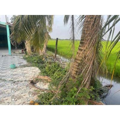 Đất Thổ Cư Đức Hòa - Long An Đất Thổ Cư Đức Hòa - Long An
