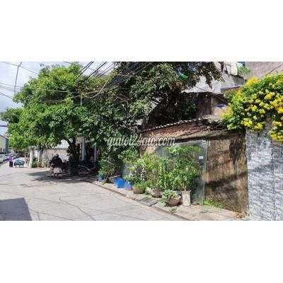 Đất Thổ Cư Hồng Bàng - Hải Phòng Đất Thổ Cư Hồng Bàng - Hải Phòng