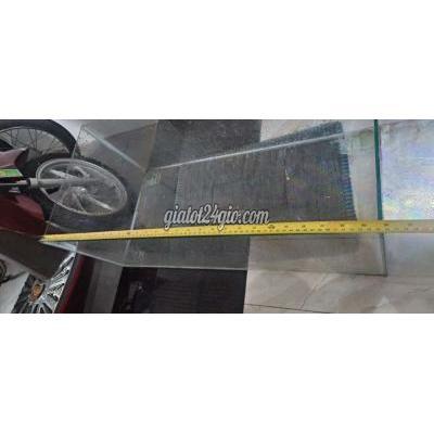 Vật Nuôi Thú Cưng Cũ Biên Hòa - Đồng Nai