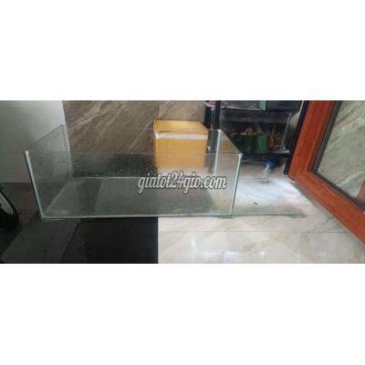 Vật Nuôi Thú Cưng Cũ Biên Hòa - Đồng Nai