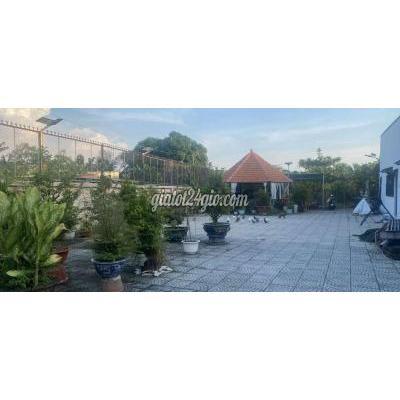 Bán Nhà Củ Chi - Hồ Chí Minh Bán Nhà Củ Chi - Hồ Chí Minh