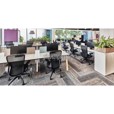 Tuyển Dụng Thủ Đức - Hồ Chí Minh