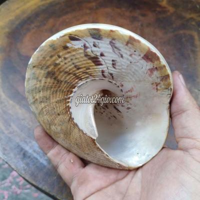 Đồ Sưu Tầm Cũ Quận 4 - Hồ Chí Minh