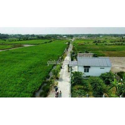 Đất Nông Nghiệp Nhơn Trạch - Đồng Nai