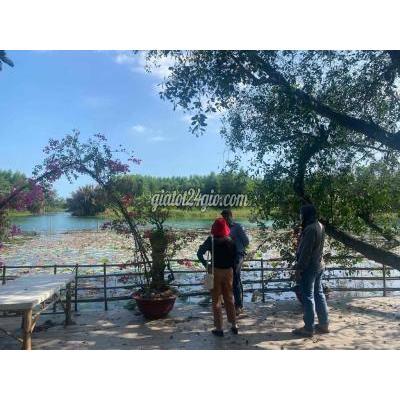 Đất Nông Nghiệp Nhơn Trạch - Đồng Nai