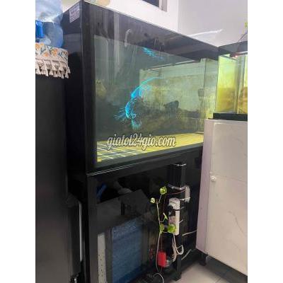 Vật Nuôi Thú Cưng Cũ Tân Phú - Hồ Chí Minh