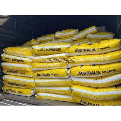 Nông Nghiệp, Hạt Giống, Cây Giống Dương Minh Châu Tây Ninh Phân Bón Hữu Cơ Úc 800 Om-phủ Humic 5 -npk 322 Giúp Đất Tươi Xốp Nông Nghiệp, Hạt Giống, Cây Giống Dương Minh Châu Tây Ninh Phân Bón Hữu Cơ Úc 800 Om-phủ Humic 5 -npk 322 Giúp Đất Tươi Xốp