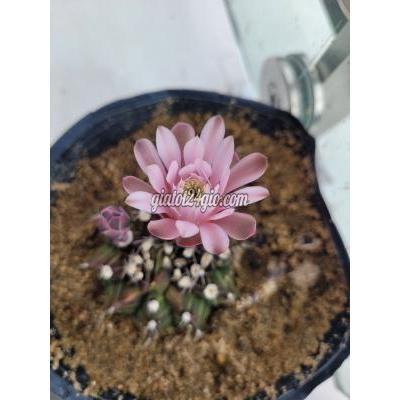 Phòng Trọ Thủ Đức - Hồ Chí Minh Phòng Trọ Thủ Đức - Hồ Chí Minh