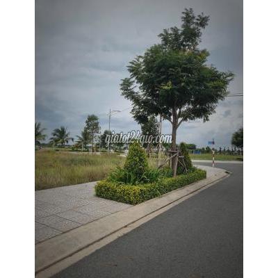 Nhà Đất Bình Chánh Hồ Chí Minh Cần Bán Gấp Lô Đất 150m2 Ở Bùi Thanh Khiết Tân Túc Bình Chánh Giá Chỉ ... Nhà Đất Bình Chánh Hồ Chí Minh Cần Bán Gấp Lô Đất 150m2 Ở Bùi Thanh Khiết Tân Túc Bình Chánh Giá Chỉ ...