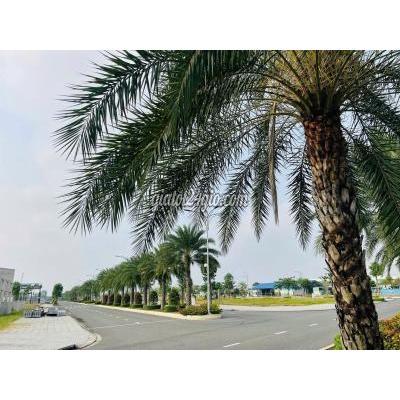 Đất Nền Bến Lức Long An Đất Nền Liền Kề Ecoretreat Cơ Hội Đầu Tư Sát Tphcm Bạn Đang Tìm Ki Đất Nền Bến Lức Long An Đất Nền Liền Kề Ecoretreat Cơ Hội Đầu Tư Sát Tphcm Bạn Đang Tìm Ki