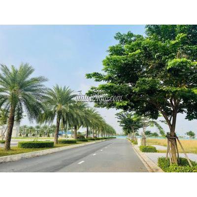 Đất Nền Bến Lức Long An Đất Nền Khu Dân Cư Liền Kề Ecopark Long An Đất Nền Bến Lức Long An Đất Nền Khu Dân Cư Liền Kề Ecopark Long An