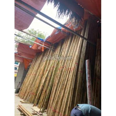 Trò Chơi, Giả Trí, Máy Chơi Game Cũ Hà Đông Hà Nội Múa Sạp Dụng Cụ Nhảy Sạp Cho Thuê Đạo Cụ Múa Sạp Trò Chơi, Giả Trí, Máy Chơi Game Cũ Hà Đông Hà Nội Múa Sạp Dụng Cụ Nhảy Sạp Cho Thuê Đạo Cụ Múa Sạp