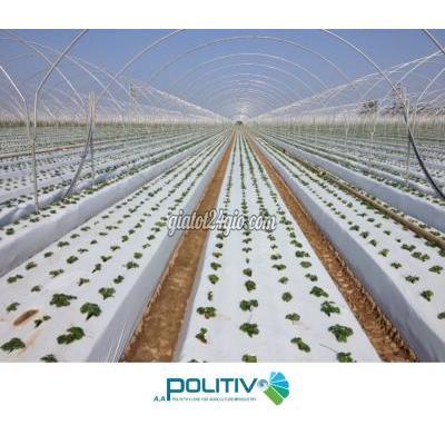 Vật Tư, Vật Liệu Xây Dựng, Sàn Gỗ, Ván, Tôn Cầu Giấy Hà Nội Màng Nhà Kính Giải Pháp Nông Nghiệp Công Nghệ Cao Hiệu Quả Kinh Tế Vượ...