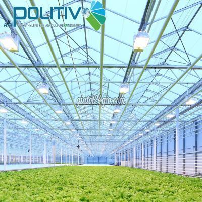 Nông Nghiệp, Hạt Giống, Cây Giống Cầu Giấy Hà Nội Màng Nhà Kính Politiv Israel Giải Pháp Nông Nghiệp Công Nghệ Cao Hiệu...