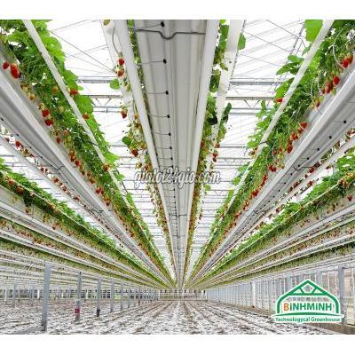 Nông Nghiệp, Hạt Giống, Cây Giống Cầu Giấy Hà Nội Màng Nhà Kính Politiv Israel Giải Pháp Nông Nghiệp Công Nghệ Cao Hiệu...