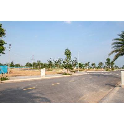 Nhà Đất Cần Đước Long An Lô Đất Long Hòa Gần Chợ Gần Kcn Sổ Riêng Giá Tốt Nhà Đất Cần Đước Long An Lô Đất Long Hòa Gần Chợ Gần Kcn Sổ Riêng Giá Tốt