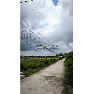 Nhà Đất Bến Lức Long An Đất 8x20m Trục Đường Nguyễn Trung Trực Nối Dài Khu Dân Cư Hiện Hữu Nhà Đất Bến Lức Long An Đất 8x20m Trục Đường Nguyễn Trung Trực Nối Dài Khu Dân Cư Hiện Hữu