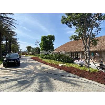 Thuê Xe 7 Chổ Cũ Biên Hòa Đồng Nai Dịch Vụ Du Lich Xe 4 - 7 - 45 Chỗ Luôn Phục Vụ Quýh 24/24 Xe Đời...