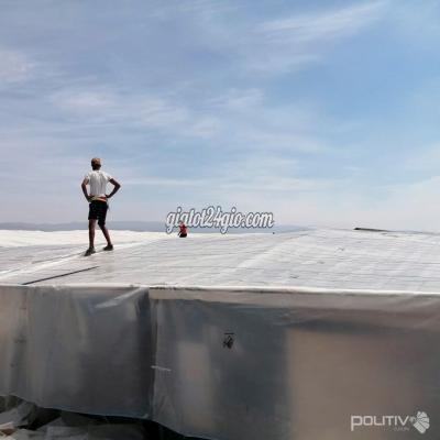 Vật Tư, Vật Liệu Xây Dựng, Sàn Gỗ, Ván, Tôn Cầu Giấy Hà Nội Tôm Khỏe Vụ Nào Cũng Trúng Nhờ Màng Politiv Israel