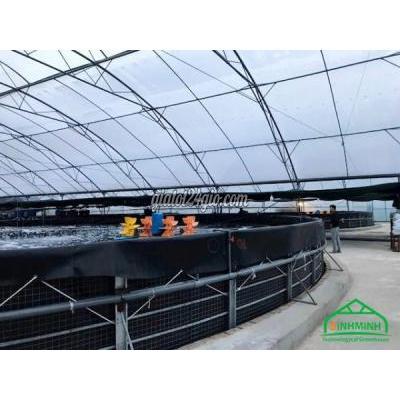 Vật Tư, Vật Liệu Xây Dựng, Sàn Gỗ, Ván, Tôn Cầu Giấy Hà Nội Tôm Khỏe Vụ Nào Cũng Trúng Nhờ Màng Politiv Israel