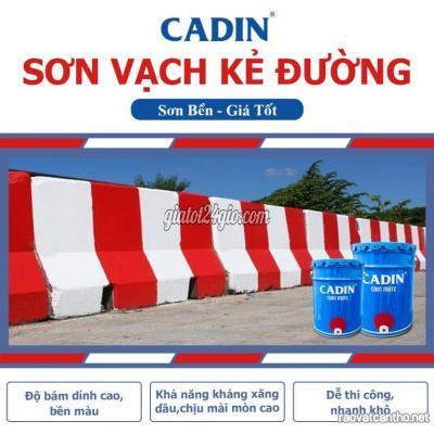 Nguyên Vật Liệu Bình Chánh Hồ Chí Minh 1 Thùng Sơn Phủ Cadin 1 Thành Phần A316 Cho Bề Mặt Nhựa Chống Tia Uv G...