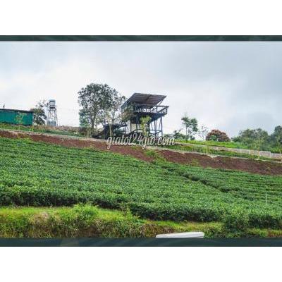 Nhà Đất Bảo Lâm Lâm Đồng Giá Tốt Hôm Nay Đất Full Thổ Cư Hồ Ngọc Chỉ 129 Tỷ