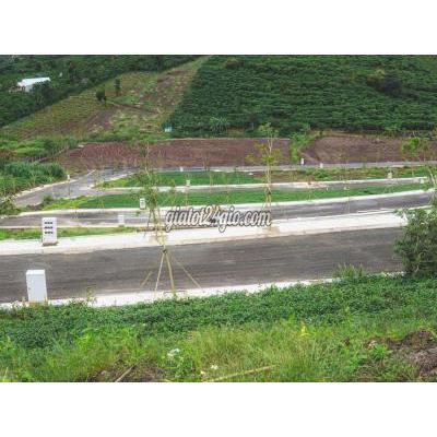 Nhà Đất Bảo Lâm Lâm Đồng Giá Tốt Hôm Nay Đất Full Thổ Cư Hồ Ngọc Chỉ 129 Tỷ