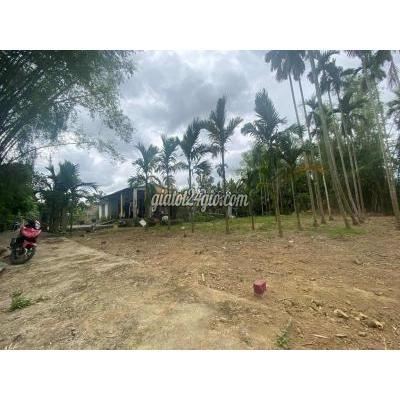 Đất Thổ Cư Đại Lộc - Quảng Nam