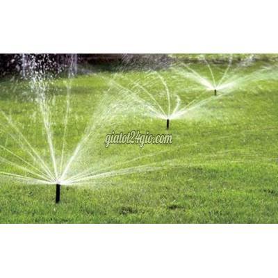 Cây Cảnh Biên Hòa Đồng Nai Chăm Sóc Cảnh Quan Kcn Vsip 1 Bình Dương A-z Cắt Tỉa An Toàn Bảo Dưỡng...