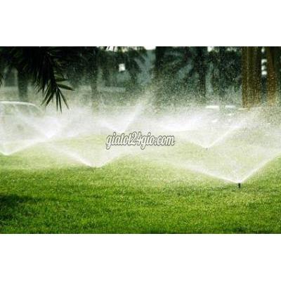 Cây Cảnh Biên Hòa Đồng Nai Chăm Sóc Cảnh Quan Kcn Vsip 1 Bình Dương A-z Cắt Tỉa An Toàn Bảo Dưỡng...