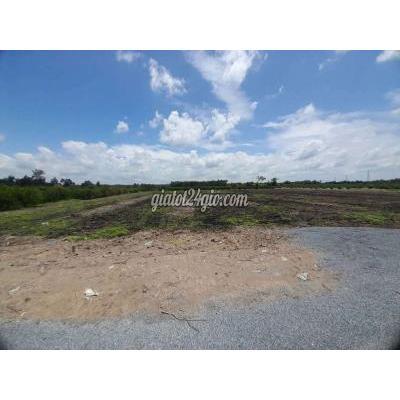 Đất Nông Nghiệp Thủ Thừa - Long An