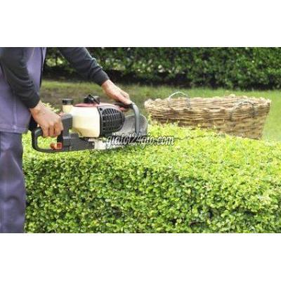 Cây Cảnh Biên Hòa Đồng Nai Báo Giá Thi Công Cây Xanh Công Trình Dự Án 2025 Chất Lượng Tối Ưu Chi ...