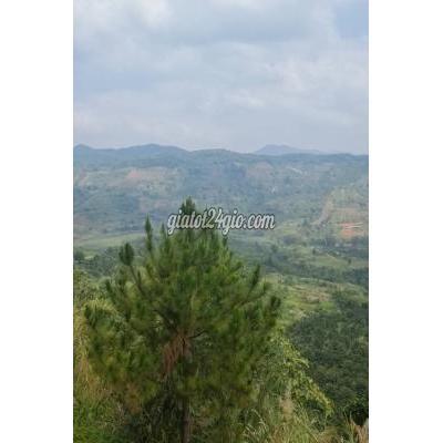 Đất Thổ Cư Bảo Lâm Lâm Đồng Đất 540m Có 200m Thổ Cư View Hồ Ngọc Giá Tốt Để Đầu Tư