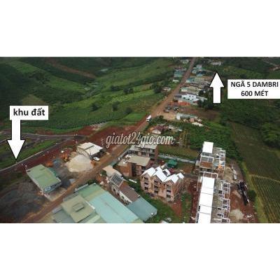 Đất Thổ Cư Bảo Lâm Lâm Đồng Full Thổ Cư 102m Trong Khu Hạ Tầng Hoàn Thiện Giá Chỉ 1tỷ29