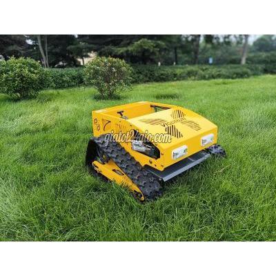 Cây Cảnh Biên Hòa Đồng Nai Dịch Vụ Cắt Cỏ Khu Công Nghiệp Chuyên Nghiệp