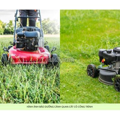 Dịch Vụ Biên Hòa Đồng Nai Cắt Cỏ Phát Hoang Giá Rẻ Chuyên Nghiệp Đồng Nai Tphcm Bình Dương Long