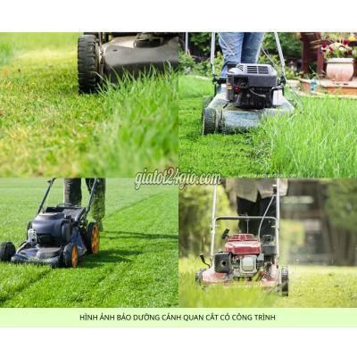 Dịch Vụ Biên Hòa Đồng Nai Cắt Cỏ Phát Hoang Giá Rẻ Chuyên Nghiệp Đồng Nai Tphcm Bình Dương Long