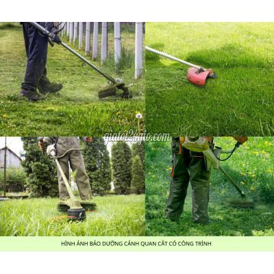 Dịch Vụ Biên Hòa Đồng Nai Cắt Cỏ Phát Hoang Giá Rẻ Chuyên Nghiệp Đồng Nai Tphcm Bình Dương Long