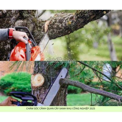 Cây Cảnh Biên Hòa Đồng Nai Dịch Vụ Chăm Sóc Cây Xanh Nội Thất Ngoại Thất Tại Tphcm