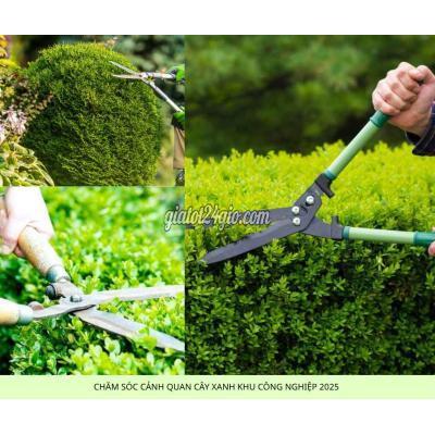 Cây Cảnh Biên Hòa Đồng Nai Dịch Vụ Chăm Sóc Cây Xanh Nội Thất Ngoại Thất Tại Tphcm