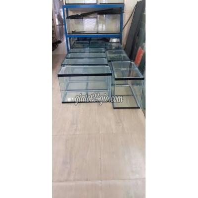 Đồ Dùng Cho Thú Cưng Tân Bình - Hồ Chí Minh