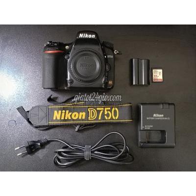 Máy Ảnh Cũ Sơn Trà - Đà Nẵng