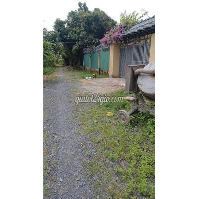 Đất Nông Nghiệp Nhà Bè - Hồ Chí Minh