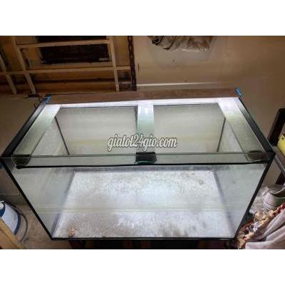 Đồ Dùng Cho Thú Cưng Cũ Tân Bình - Hồ Chí Minh