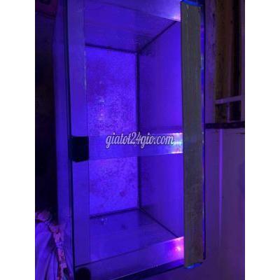 Đồ Dùng Cho Thú Cưng Cũ Tân Bình - Hồ Chí Minh