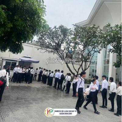 Tuyển Dụng Gò Vấp - Hồ Chí Minh