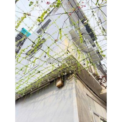 Bán Nhà Hoàng Mai - Hà Nội